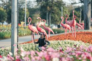 BIB: 
                            <button type="button" onclick="openModal(27344174)" class="btn btn-primary btn-sm float-right btn-popup" data-toggle="modal" data-target=".modal-high-quality">
                        <i class="fas fa-shopping-cart"></i> Add to Cart
                    </button>
                                            <button type="button" onclick="isThisMe(27344174, true)" class="btn btn-success btn-sm float-right btn-popup btn-isme hidden" data-toggle="tooltip" data-placement="bottom" title="นี่คือรูปของคุณใช่ไหม คลิกที่นี่เพื่อเอาเข้าอัลบั้ม">
                        <i class="fas fa-plus"></i> Add to album
                    </button>
                    <button type="button" onclick="isThisMe(27344174, false)" class="btn btn-warning btn-sm float-right btn-popup btn-isnotme hidden">
                        <i class="fas fa-ban"></i> Remove from album
                    </button>